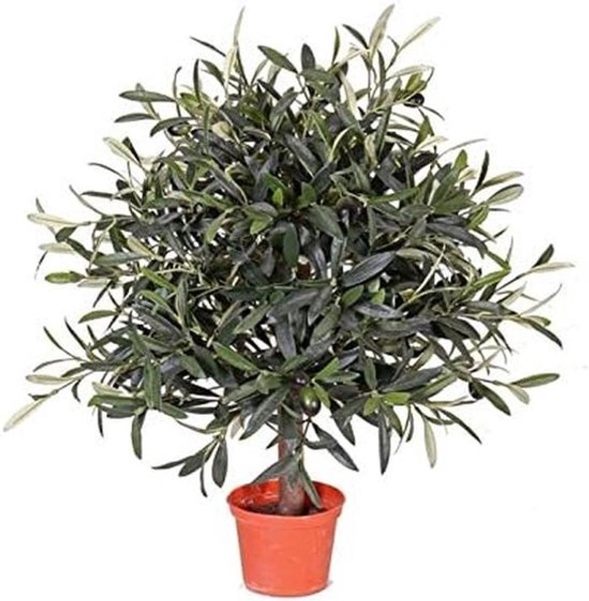 Kunstmatige Olijfboom 50 cm met 18 Olijven en 1040 Bladeren - Mini Kunstplant