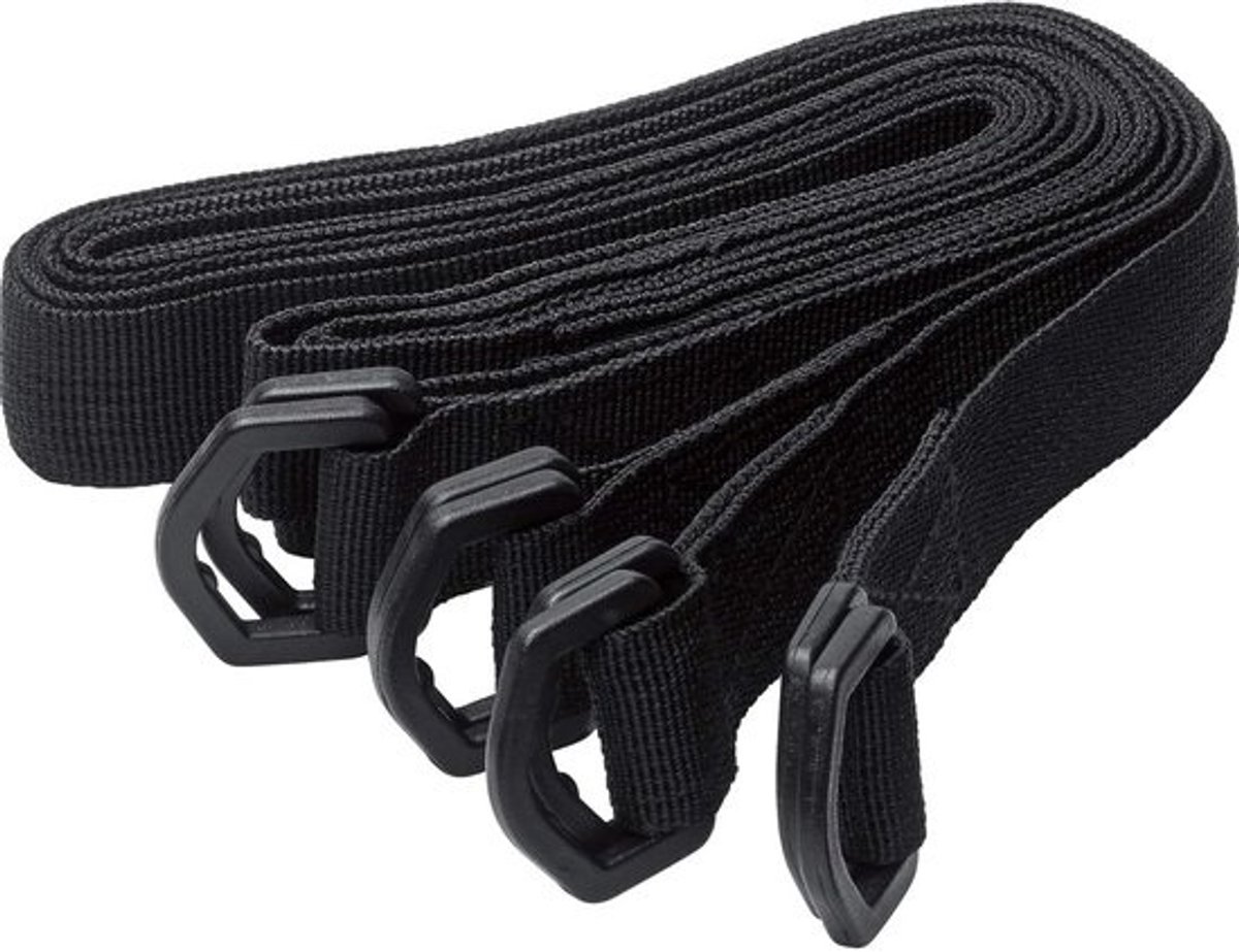 Set van 4 Stevige Spanbanden met Dubbele D-Sluiting voor Motorbagage, 100 x 2,5 cm, Zwart