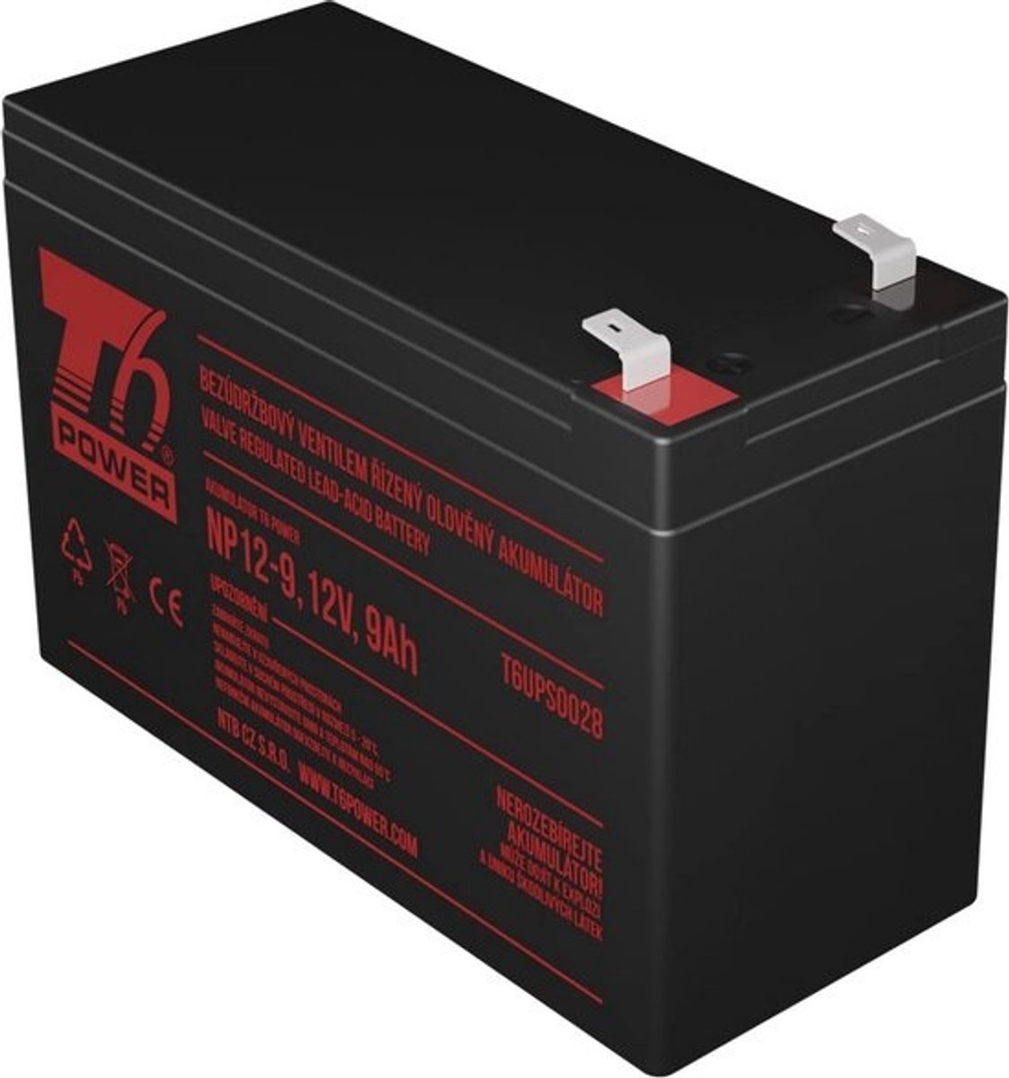 Vervangende Batterij - Accu UPS - Stroomonderbreking Overbruggen - 12V 9Ah - 15.1 x 10 x 6.5 cm