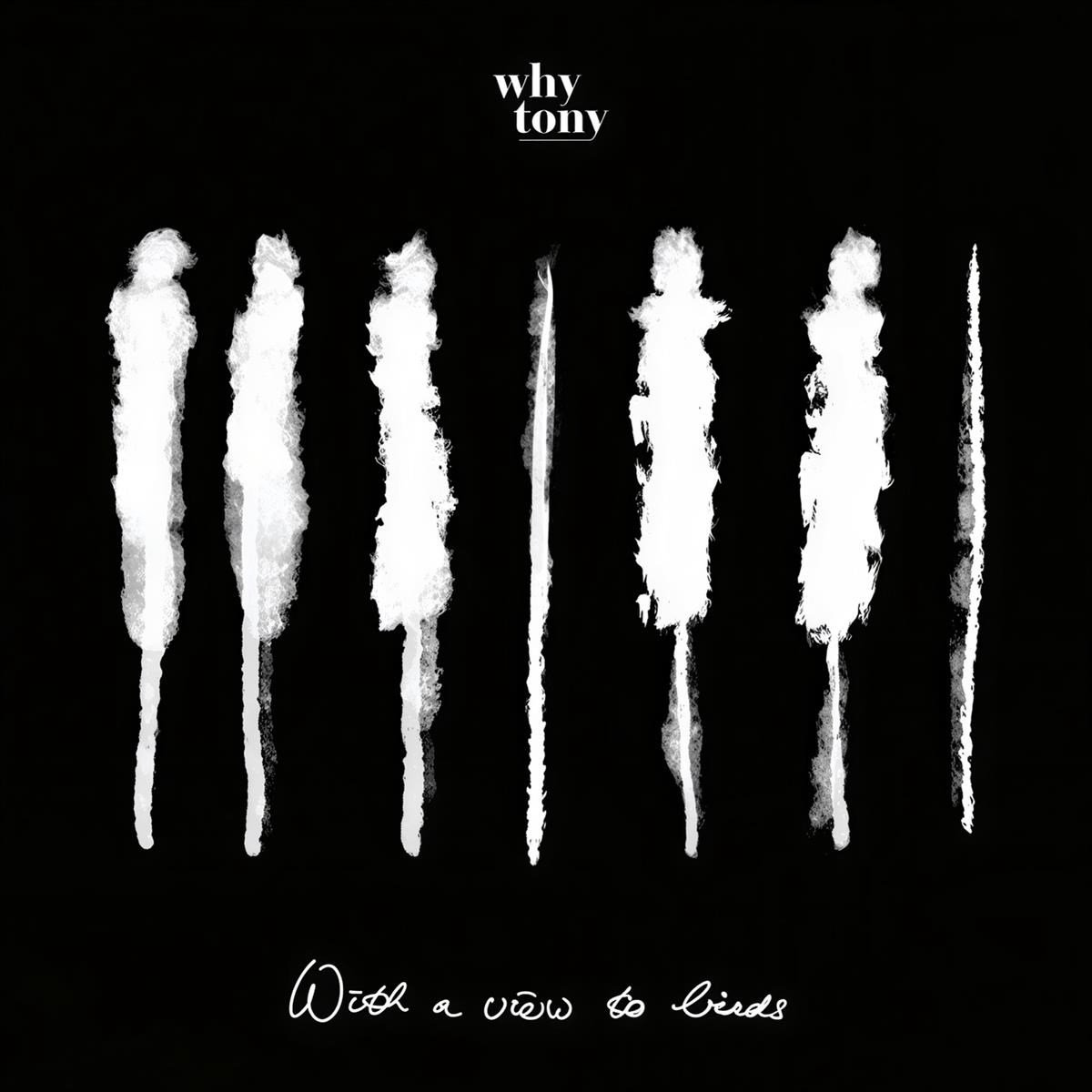 Why Tony - With A View To Birds (LP)