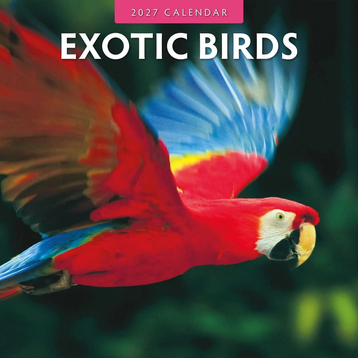 Exotic Birds Kalender 2027