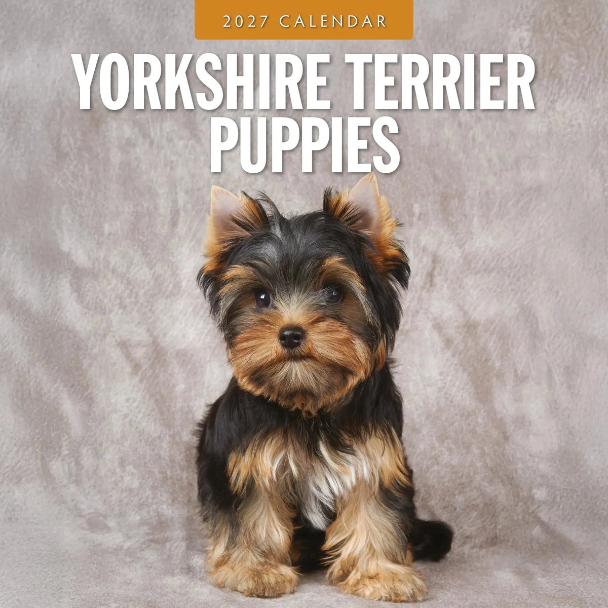 Yorkshire Terrier Puppies Kalender 2027