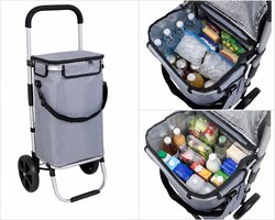 Travelnet boodschappentrolley met volledige koeltas. 40liter, inklapbaar, met wielen