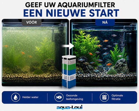 Voor en na foto van een aquarium dat helder is geworden na gebruik van Aqua-Loui filters.