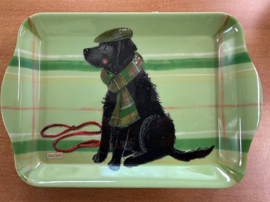 Groen dienblad met plaidpatroon, met een zwarte hond met pet en sjaal.