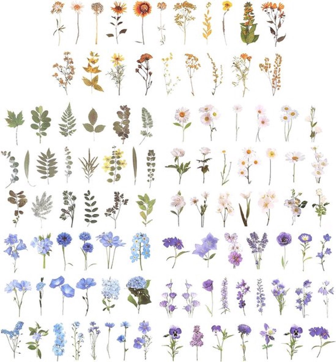 Set van 200 vintage stickers met geperste bloemen en botanische thema's, ideaal voor journaling en creatieve projecten met een natuurlijke uitstraling
