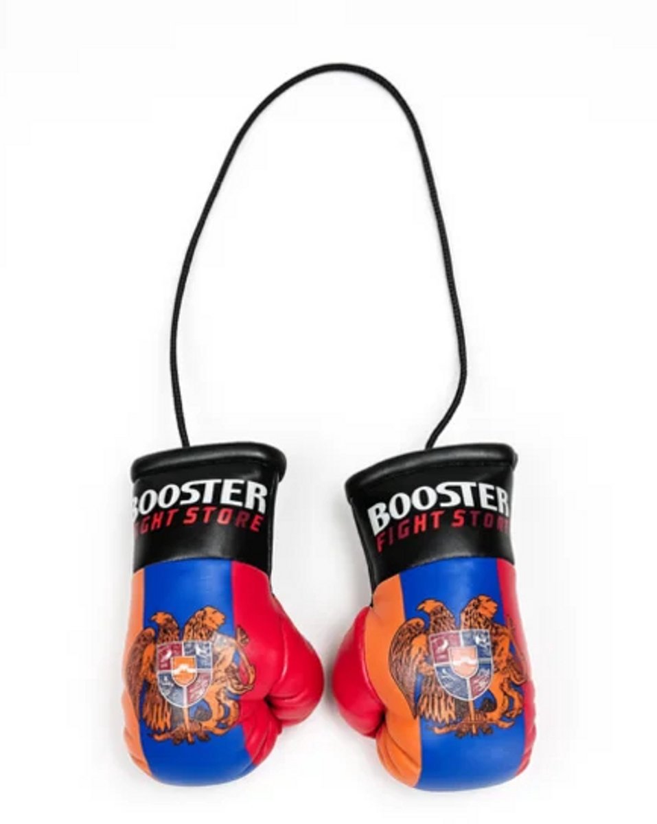 Booster - Mini Bokshandschoenen Carhanger voor in de auto - Armenie
