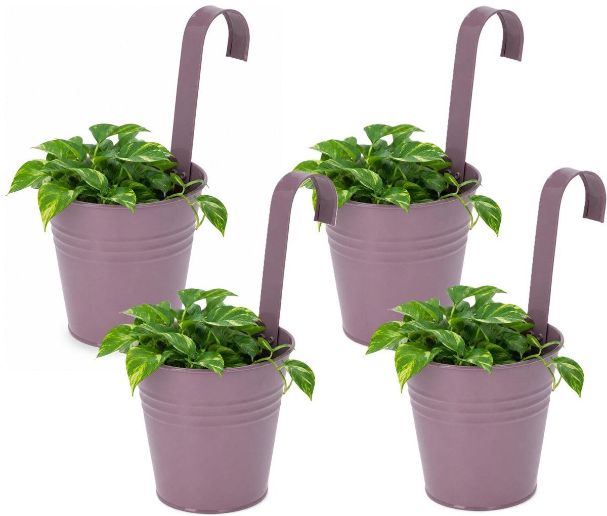Progarden Bloempotje met haak - 4x - plantenbak zink met ophanghaak - paars - 20 x 13 x 26 cm - ophangbaar- Balkon/schutting plantenpot