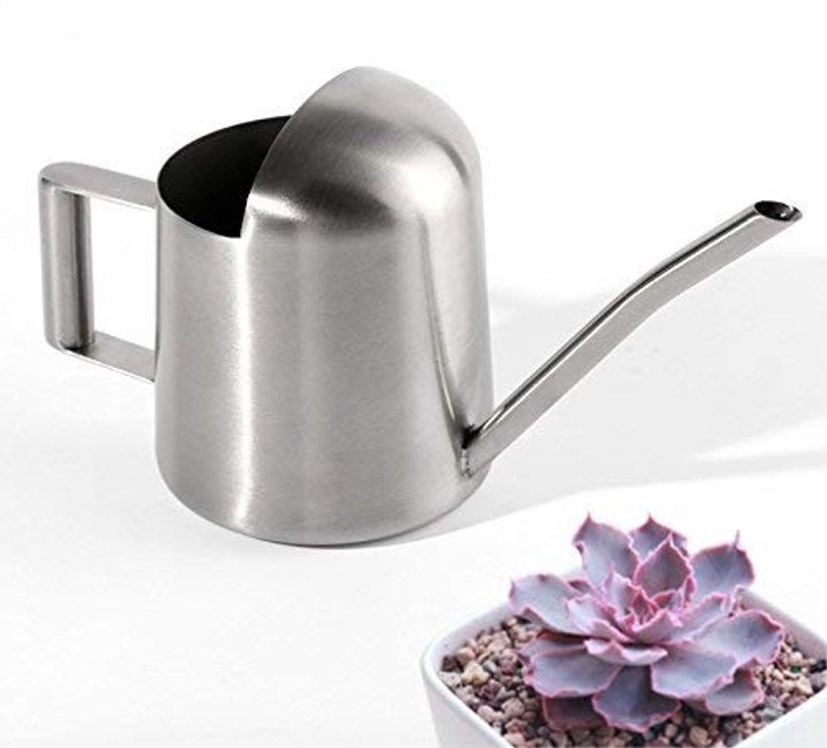 Dailygoods - Moderne Mini Waterkan - Perfect voor Planten op Tafel
