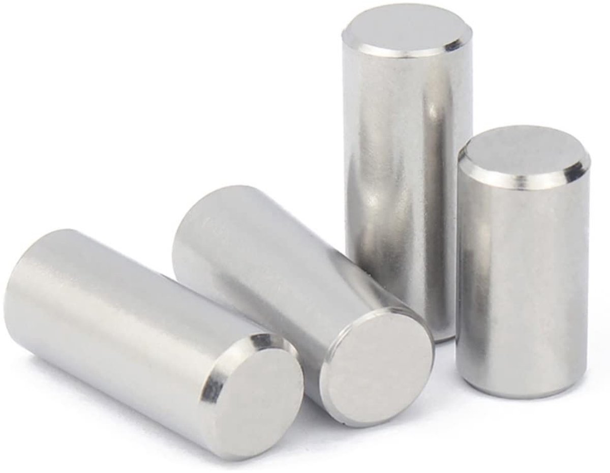 Roestvrijstalen Schuifpennen voor Meubels, Kasten en Planken - Cilindrische 20 Stuks (M6×20mm)