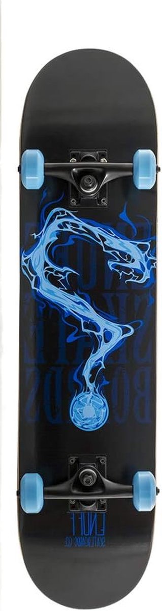 Skateboard Deck Outdoor cruisen Aluminium trucks 53 mm wielen
