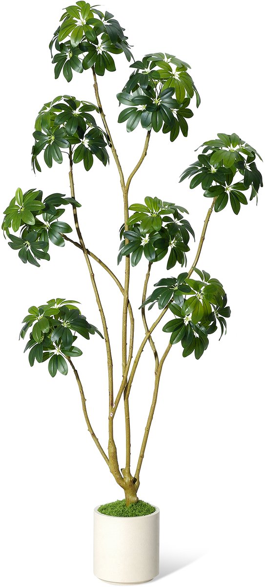 180 cm hoge levensechte kunstparasolboom (Schefflera), staande binnenkunstplant met meerdere stammen, real-touch bladeren, decoratieve witte pot voor thuis, kantoor en veranda