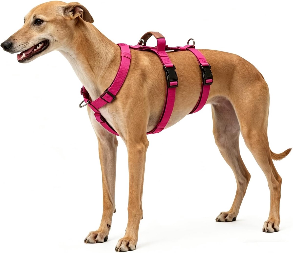 Hondenharnas L - Roze Nylon - Antiknijpen - Veilig en comfortabel wandelen - SnelShoppen