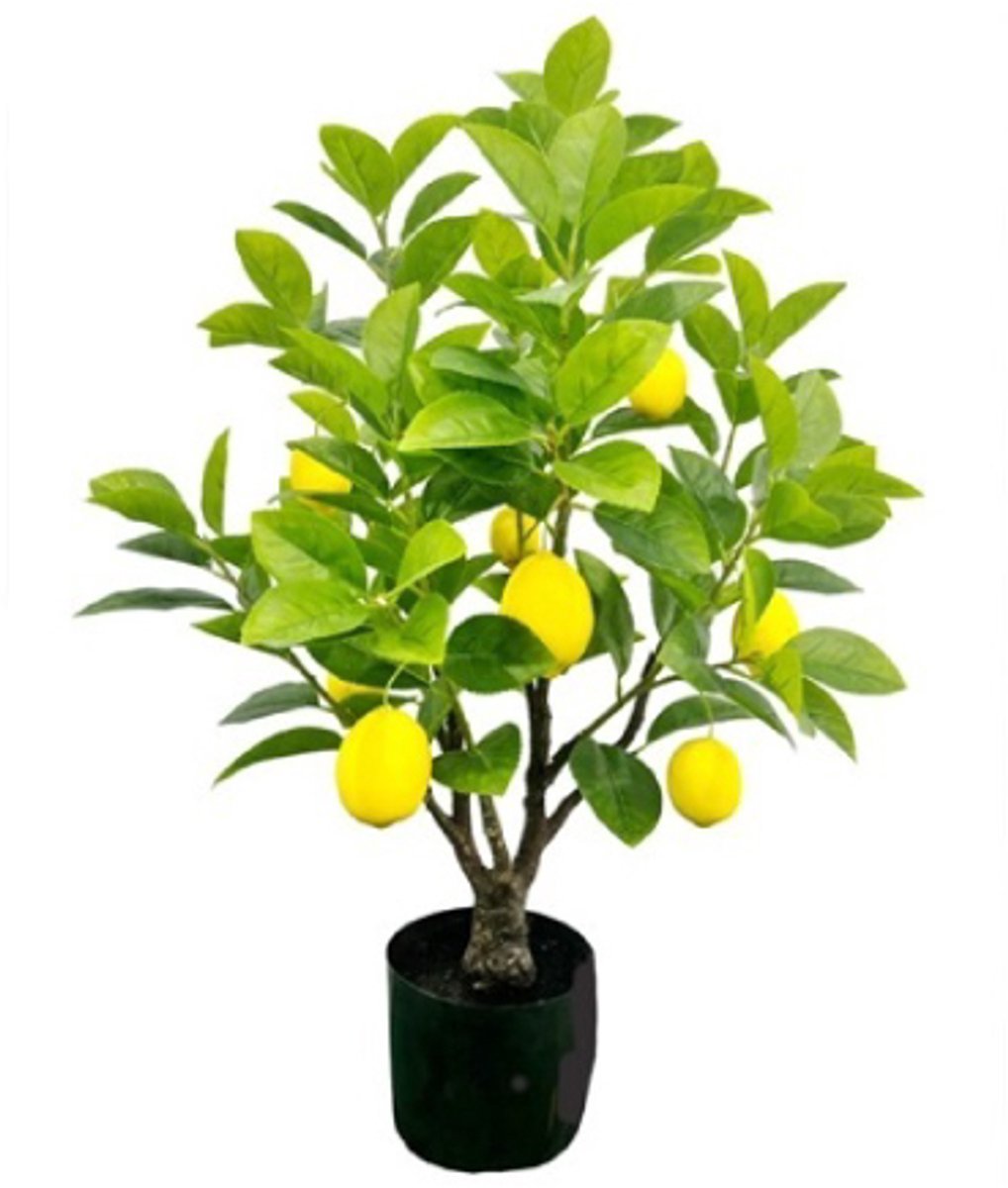 Kunstplant Citroenboom – 80 cm