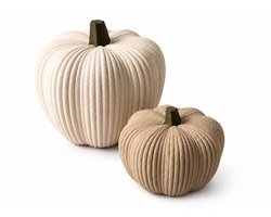 Decoratieve Pompoenen – Moderne Japandi Herfstdecoratie