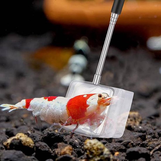 3 stuks Aquarium garnalennetjes, Kescher Aquarium met uitschuifbare roestvrijstalen greep, mini fijnmazig visnet voor het vangen van kleine vissen en het reinigen van het aquarium — afbeelding 3