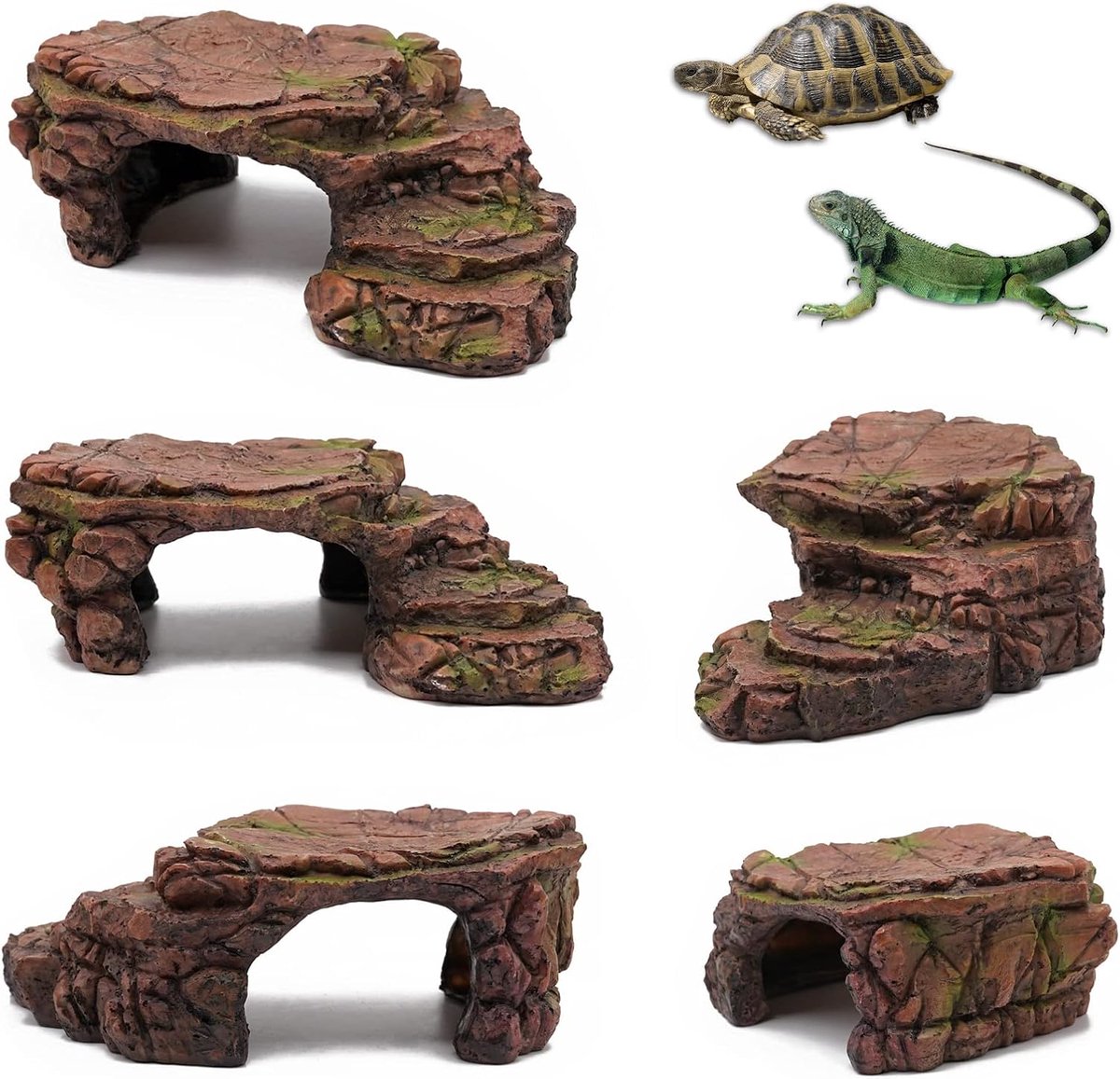 Schuilplaats voor schildpad grot reptielen gekko waterschildpad platform voor hellingen platform schuur reptielen en amfibieën accessoires landschildpad