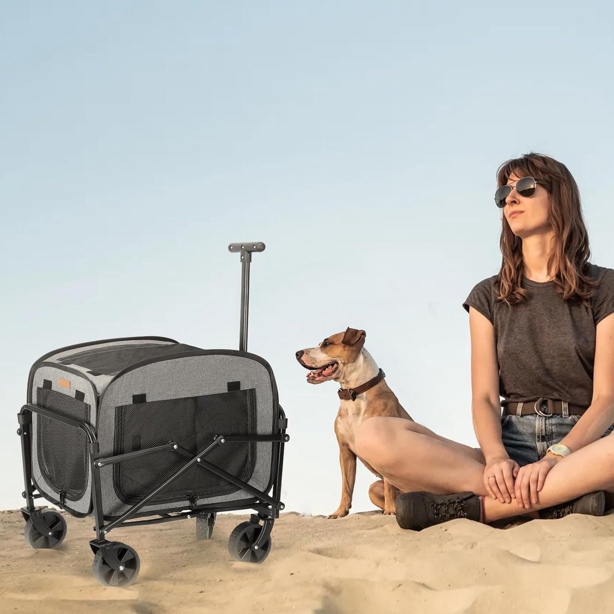 SnelShoppen - Lekespring Hondentransporter met Wielen, Grote Hondenwagen voor Honden en Katten tot 18 kg, Rollende Huisdierkoets met Grote Wielen voor