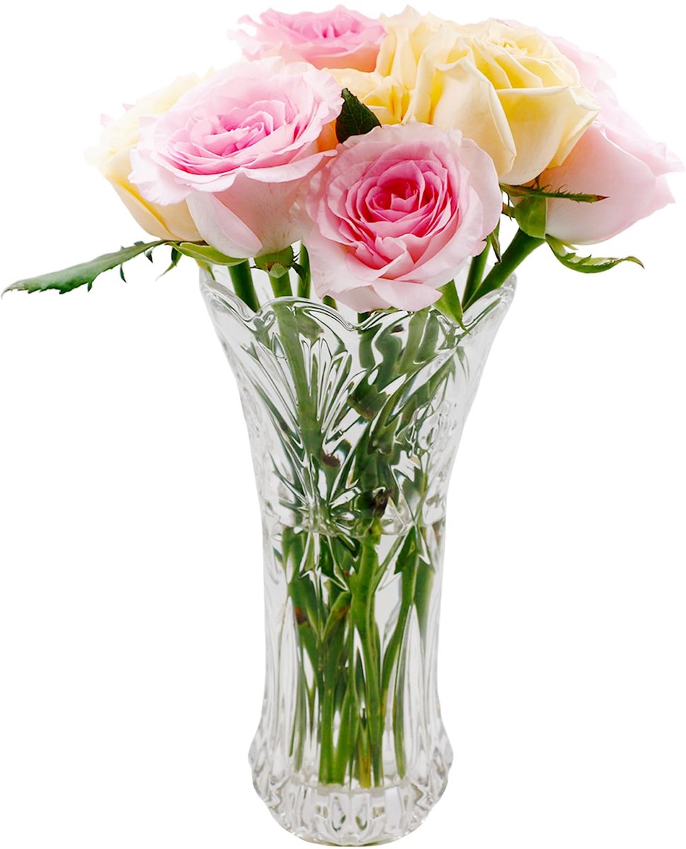 SnelShoppen - Heldere Glazen Bloemenvaas 24CM - Verdikte Kristallen Vaas voor Bloemen, Decoratieve Vaas voor Pampasgras, Tulpen, Orchideeën, Rozen en