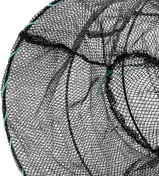 Hengelsport Visval - Aasnet Landingsnet - Vissen Vangen - Opvouwbaar Frame - 30x60cm - Nylon — afbeelding 5