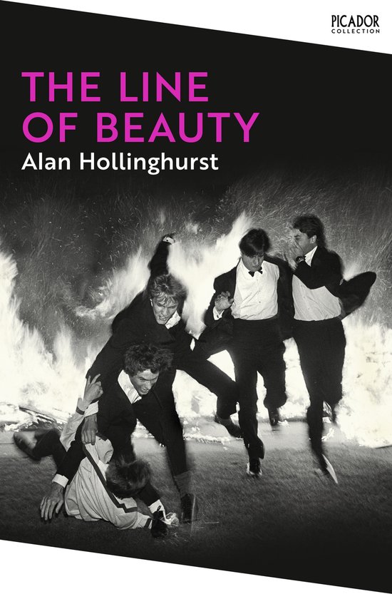Picador Collection-The Line of Beauty - cover