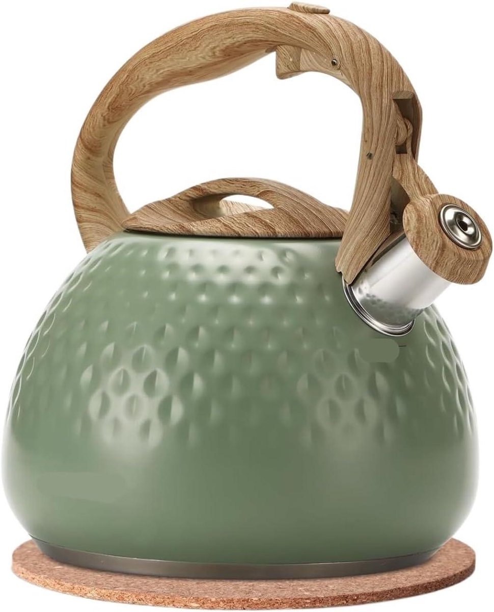Waterkoker met Fluitje Theeketel RVS Water Koken Hittebestendig Handvat 2.5 Liter Groen