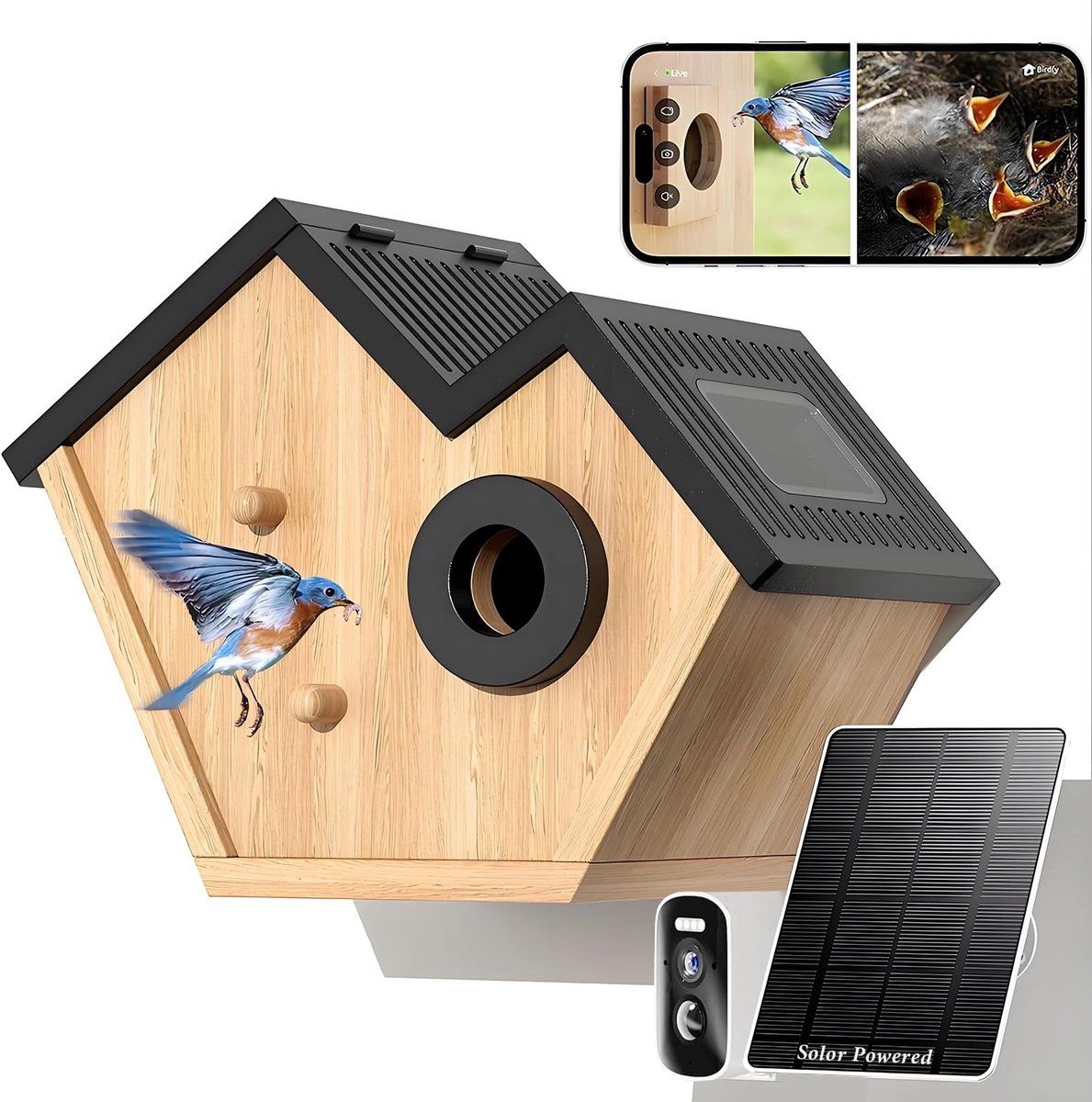 SnelShoppen - Vogelhuisje met HD-camera op zonne-energie, Live Stream, 35 mm Invliegopening, IP65 Bescherming, Cloud- en SD-opslag, Perfect voor Tuin
