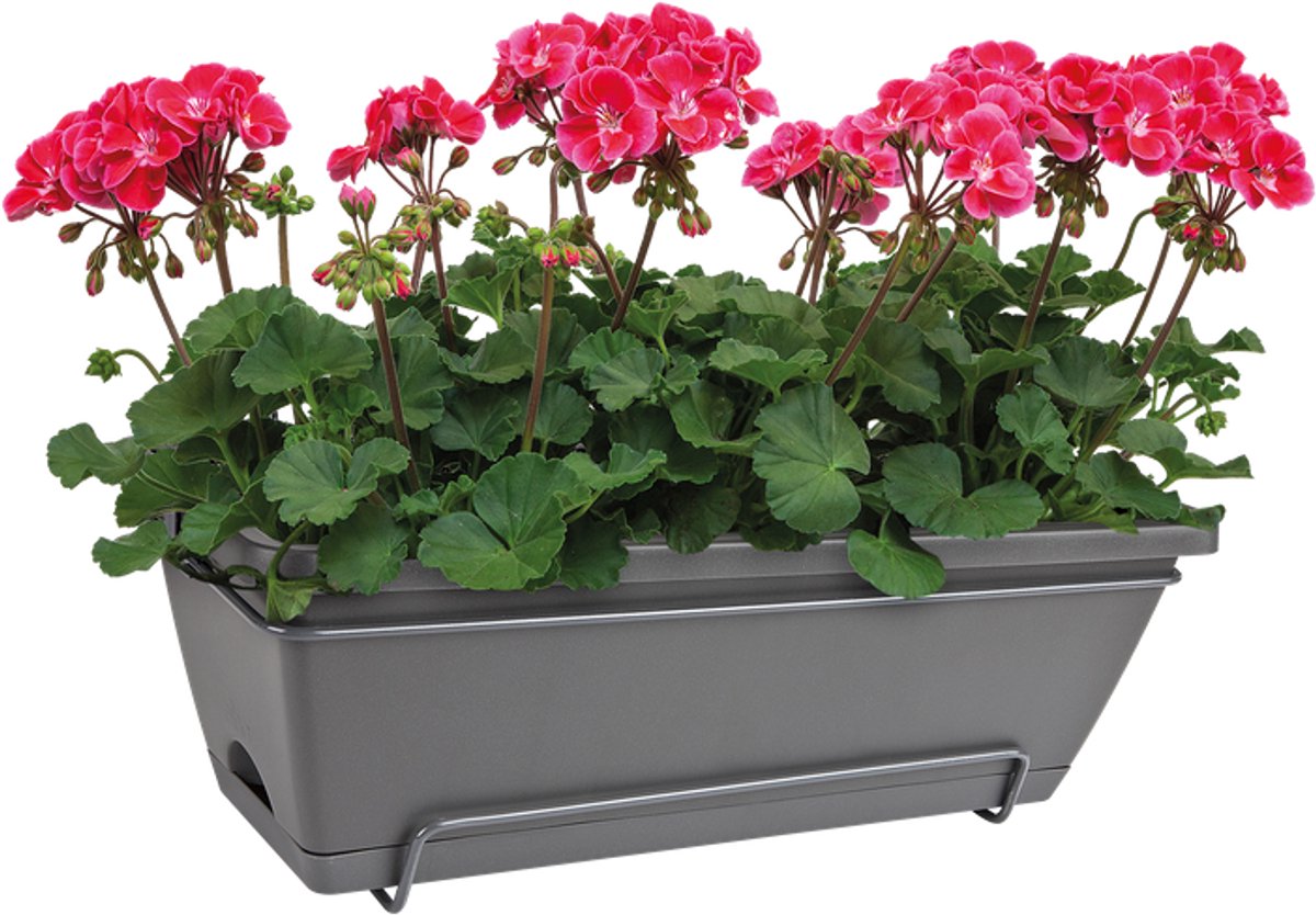 Elho Barcelona Allin1 50 - Balcony Planter with Hanging Bracket