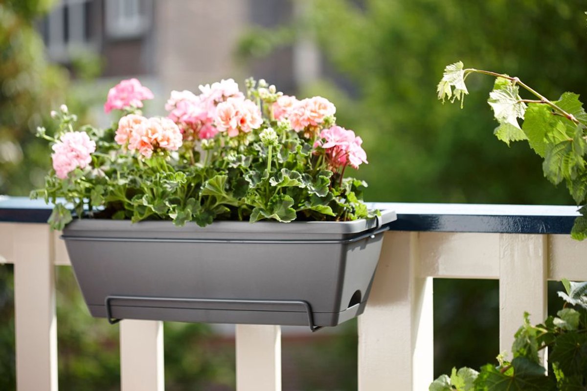 Elho Barcelona Allin1 50 - Balcony Planter with Hanging Bracket