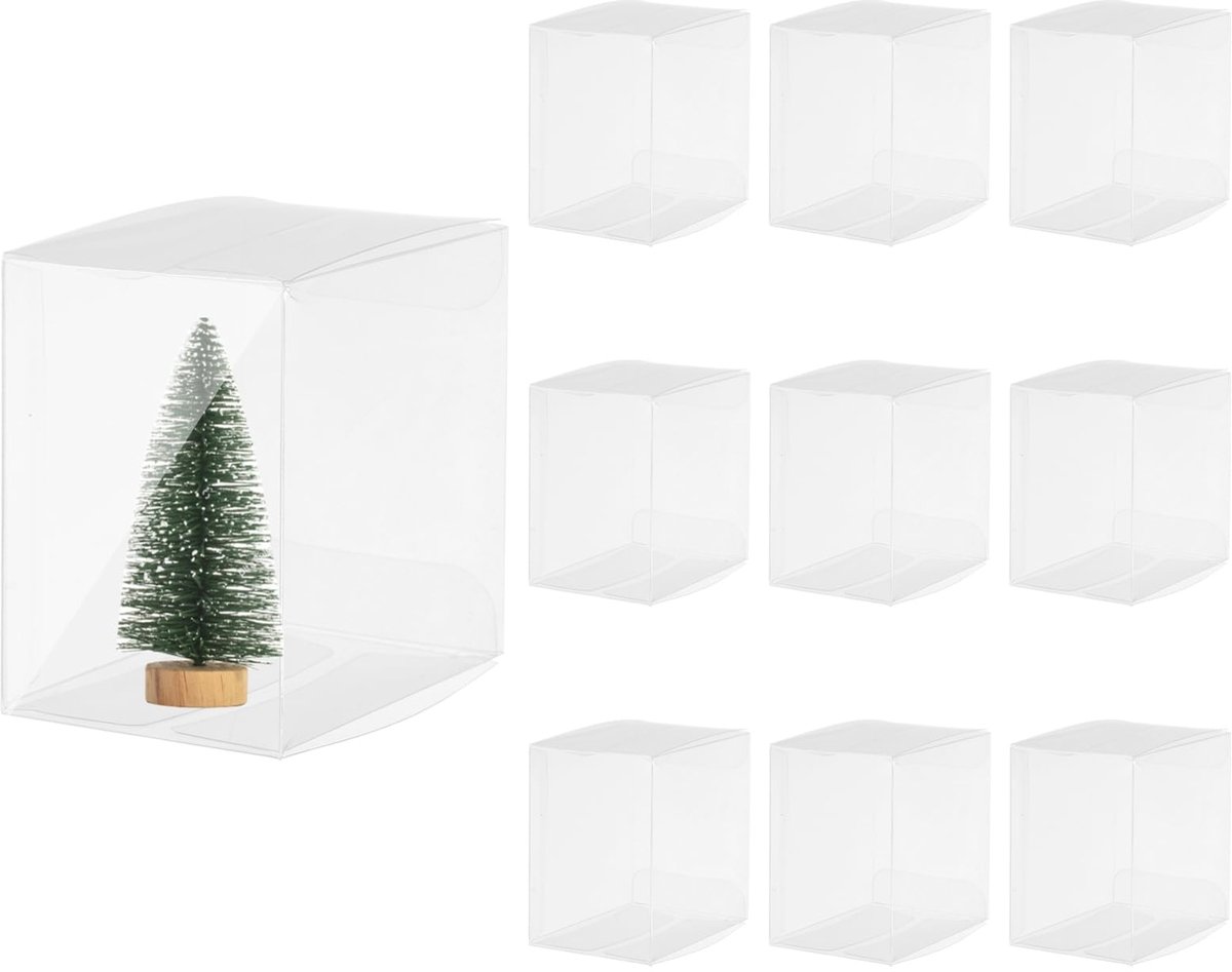 Dailygoods - 10 Transparante Cadeau Dozen 65 x 44 x 65 mm - Voor Cookies en Decoraties