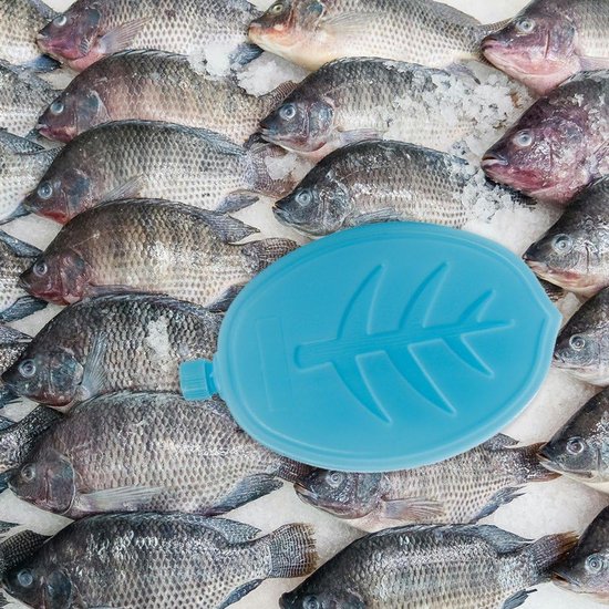 Vriezer Blokken - IJsblokken Koelzak - Eten Koel Houden - Herbruikbaar Ontwerp - 6 stuks - Blauw — afbeelding 4