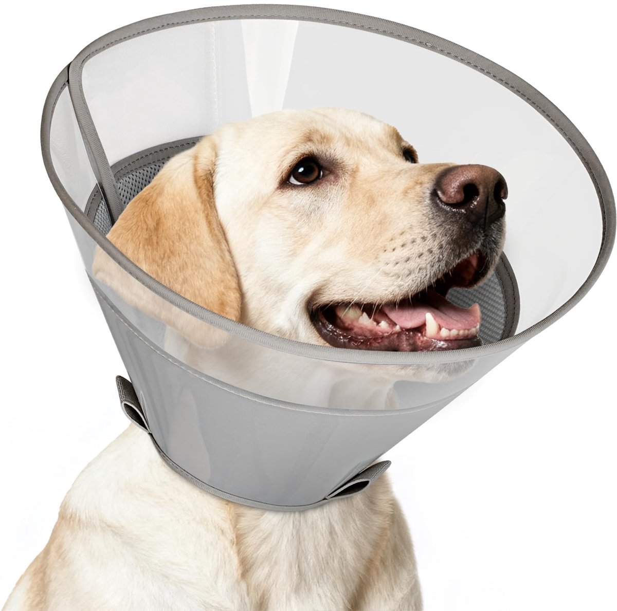 SnelShoppen - Supet Honden Halsband Deep Grey XS - Comfortabele en Duurzame Hondenriem van Hoogwaardig Materiaal - Ideaal voor Kleine Honden, Wandelen