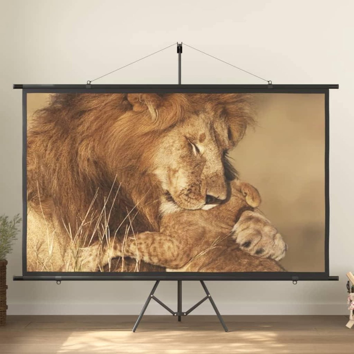 Projectiescherm met statief - Scherm voor beamer - Thuisbioscoop presentaties - In hoogte verstelbaar - 100 inch 16:9 - Mat wit