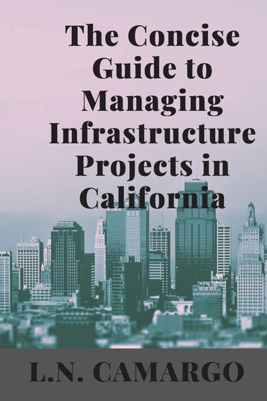The First-Time Project Manager's Guide to Public Infrastruct ... - cover