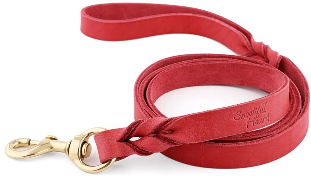 SnelShoppen - Gevlochten Lederen Hondenriem 150 cm - Robuuste Rood - Ideaal voor Wandelen, Sporten en Avonturen met je Hond