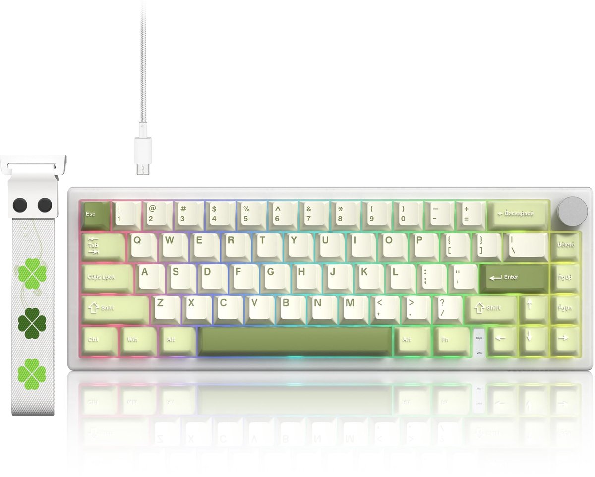 SnelShoppen - Mechanisch Gaming-Toetsenbord 65% met Kabel - Hot-Swappable RGB Toetsenbord met Gaskethouder en Doorzichtige Keycaps - Perfect voor Gami