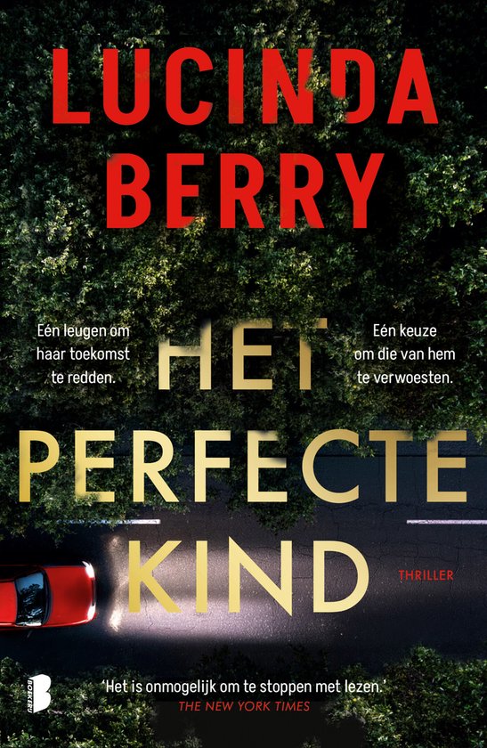 Het perfecte kind - cover
