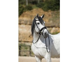 Horsegear Hoofdstel Horsegear Hgsnake Zwart | Maat: Pony