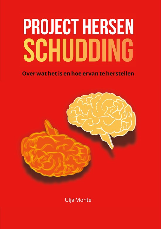 Project hersenschudding - cover