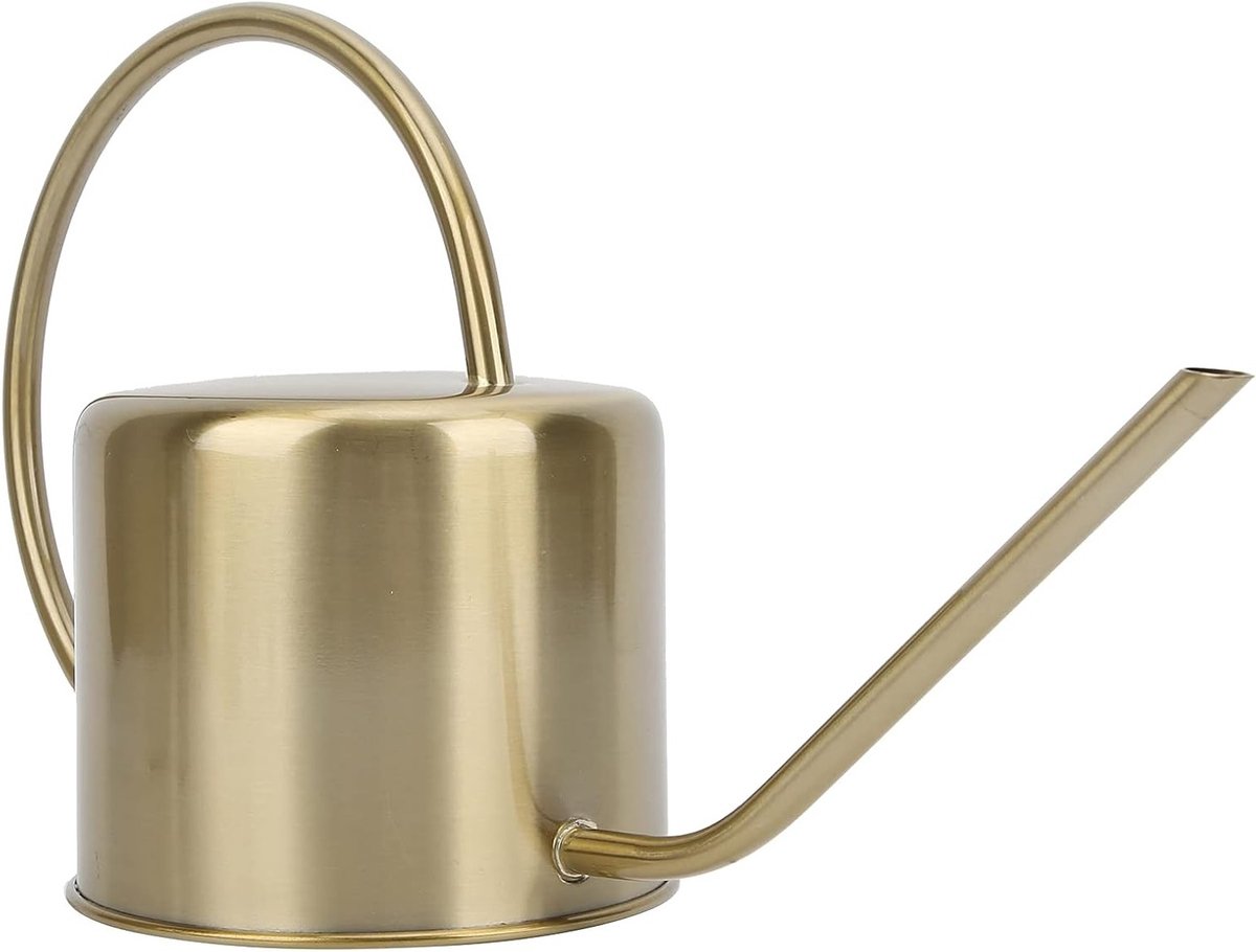 Gouden Gieter met Lange Tuit, Perfect voor Bloemen en Planten, Duurzaam RVS voor Binnengebruik en Tuindecoratie