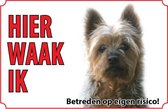 Bord - Australische Silkyterrier