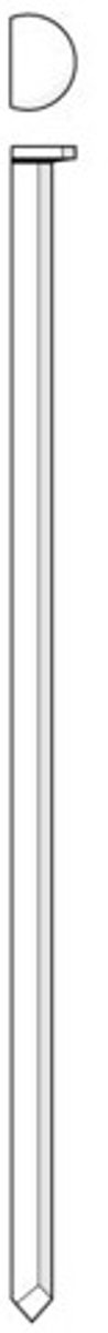 Union Dl-D-Kopnagels Verzinkt Glad - 3.1x80mm - Staal - 2500 stuks