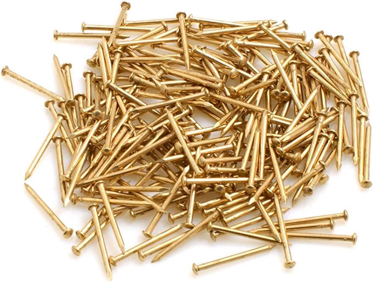 SnelShoppen - Ronde Kop Spijkers 1.6 x 20 mm - IJzer Messing - 100g (ca. 300 Stuks) - Perfect voor Klussen, Hobby, en Doe-het-zelf Projecten