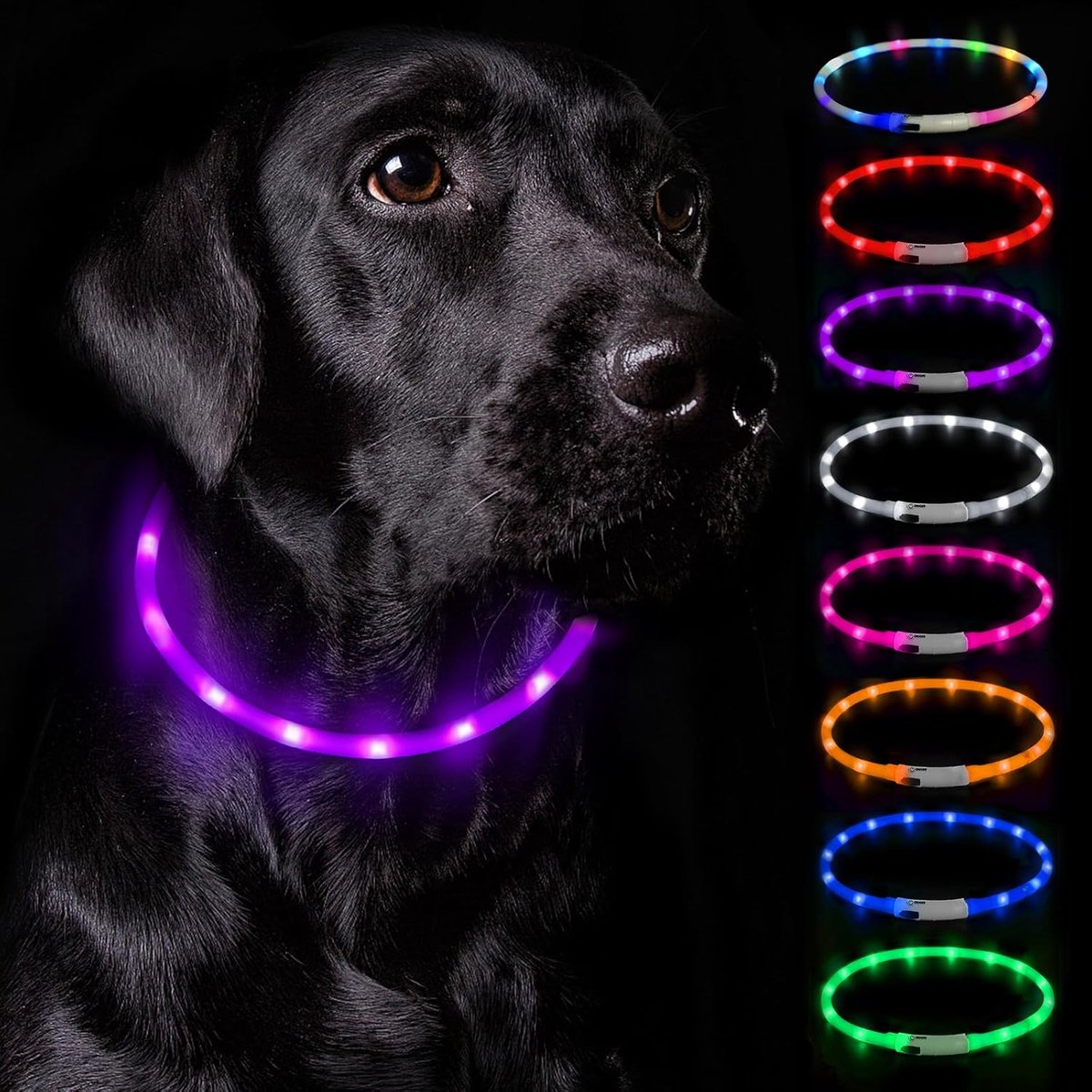 SnelShoppen - Lichtgevende Hondenhalsband Verstelbaar - Paars - 360 Graden Zichtbaarheid - Ideaal voor Avondwandelingen en Veiligheid
