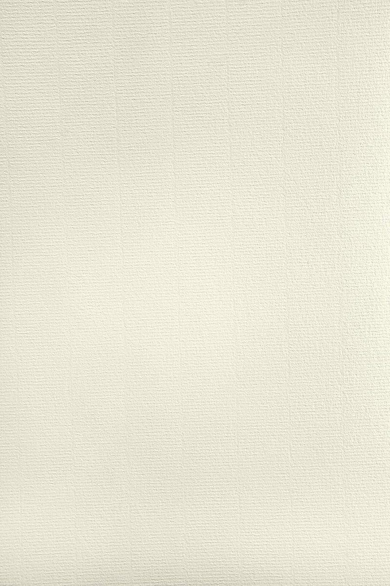 SnelShoppen - 100x Elfenbein A4 Ribbed Craft Paper met Watermerk 120g - Perfect voor Certificaten, Kaarten, Knutselen en Uitnodigingen