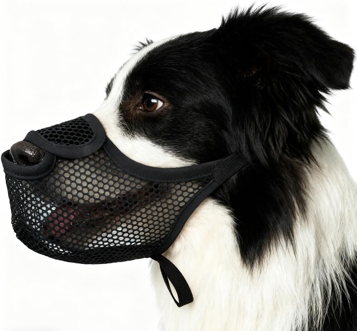 Hondenmuilkorf voor Kleine en Middelgrote Honden van Nylon, Ademend en Zacht, Verstelbaar met Leash, Voorkomt Kauwen en Bijten