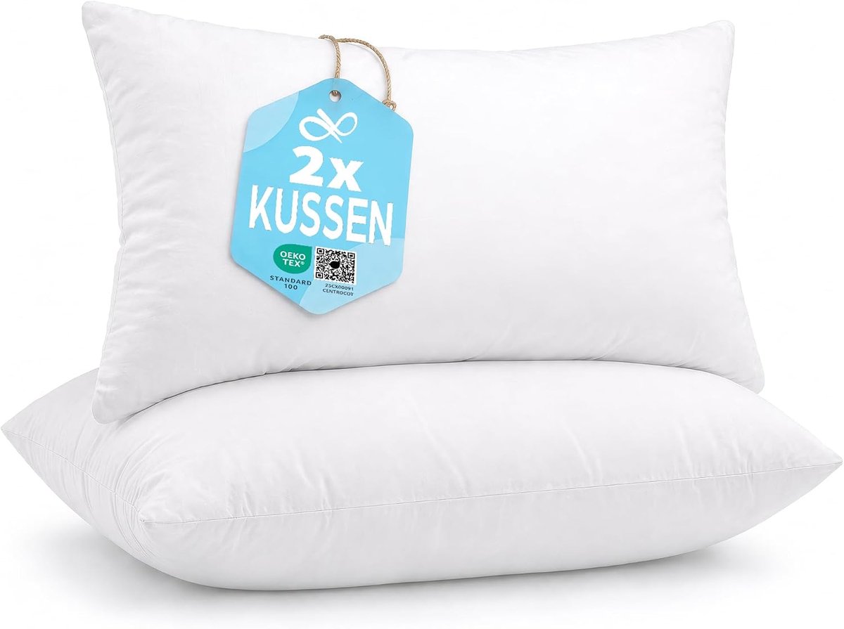 SnelShoppen - 2x Decoratieve Kussens 30x50 cm met Hypoallergene Vulling - Zachte Katoen en Polyester Kussens voor Woonkamer en Slaapkamer - Comfortabe