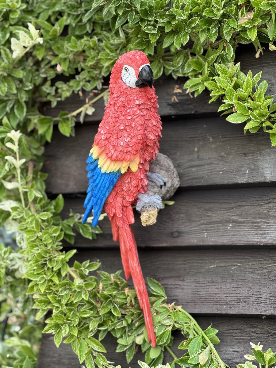 Ara muurdecoratie 39 cm hoof FI - Vogel - dierenbeeld - decoratief beeld - wanddecoratie - cadeau - geschenk - Verjaardag - Voor buiten - voor binnen - voor hem - voor haar - Kerst - Nieuwjaar