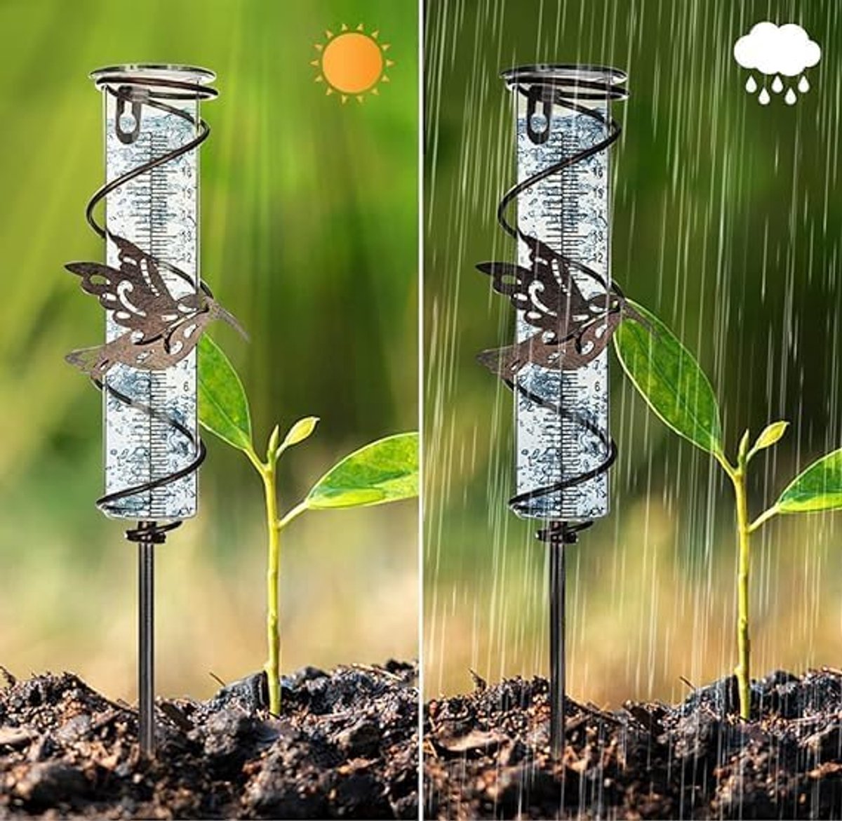 Regenmeter Glas met Grondpen - Kolibrie Spiraaldesign - Voor Tuin Gazon en Terras