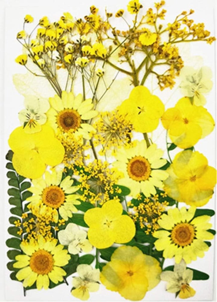 Dried Pressed Flowers voor Creatieve Projecten, Kaarsen, Hars, Scrapbooking en Bloemdecoraties - Echte Gedroogde Bloemen (Geel)